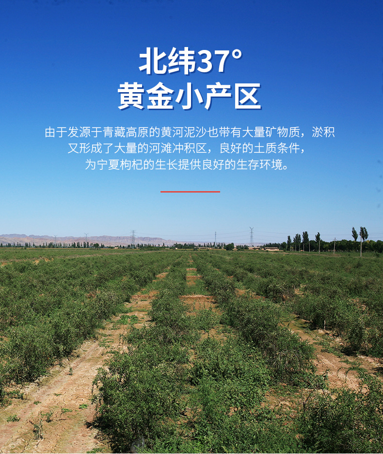 fe8b28cd6393f8a741d573ed47176c4f_O1CN01F517AM1z8uUF5yBD8_!!988956670-0-cib.jpg
